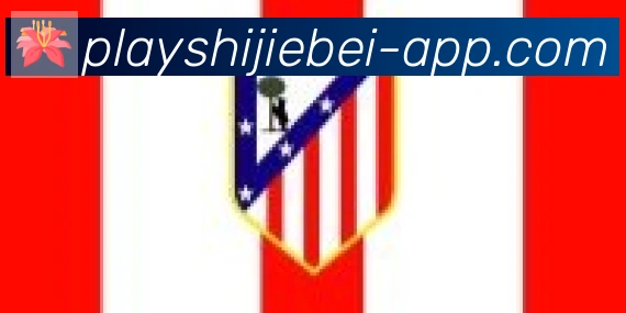 2026世界杯赛事下载合作伙伴